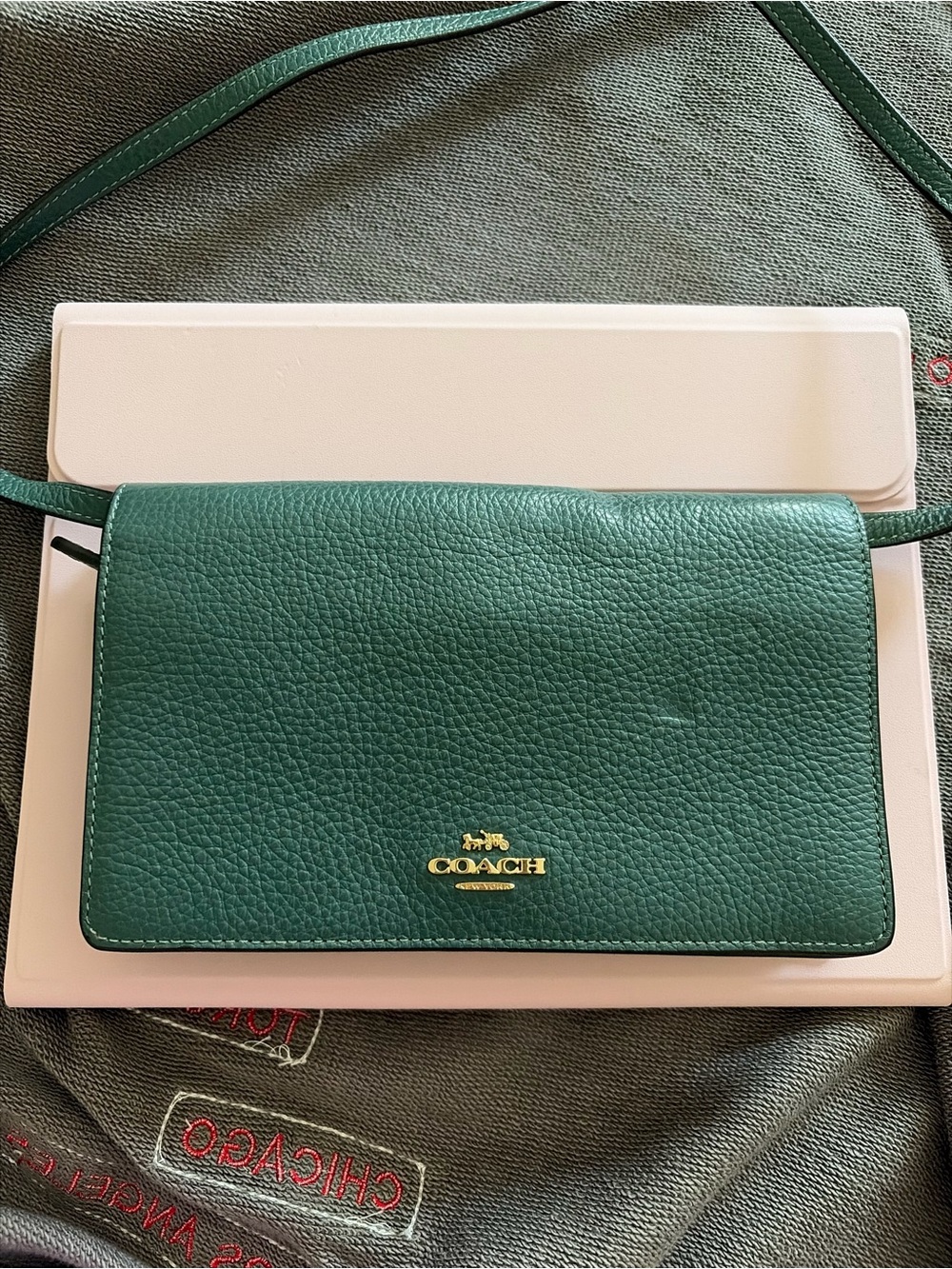 Coach Teal Anna Crossbody Clutch